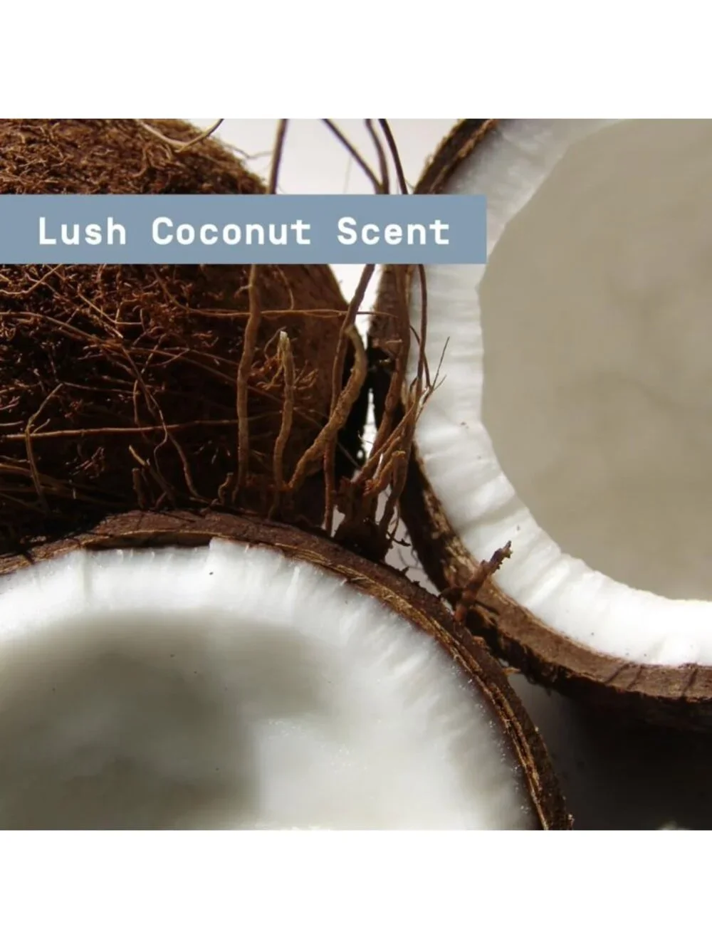 Lush Coconut Antiperspirant Deodorant 2.6 oz - 3 Pack, Long-Lasting Freshness